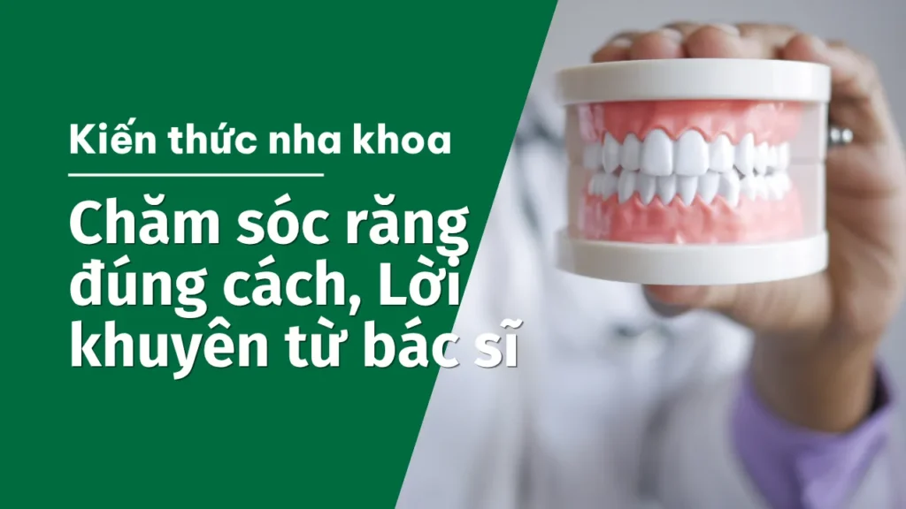 chăm sóc răng đúng cách, lời khuyên từ bác sĩ